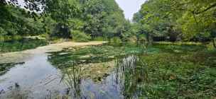 Rzeka Czarny Sen - naum-ochryda-047.jpg
