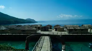 Zatoka Kości - Muzeum - DSC08628-2.jpg