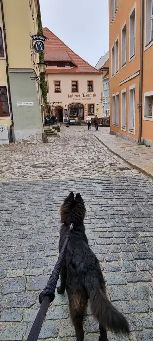  - budziszyn-017.jpg