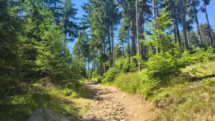  - IMG_20260624_143527534_HDR.jpg
