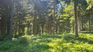 - IMG_20260624_151351090_HDR.jpg