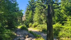  - IMG_20260624_152119138_HDR.jpg