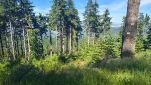  - IMG_20260624_163402423_HDR.jpg