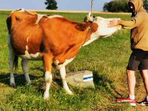 Bacówka na Polanie Majerz Haluszowa - czorsztyn-jezioro-019.jpg