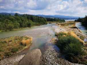 Dunajec