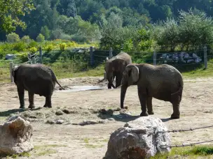 Poznańskie ZOO - poznan-015.jpg
