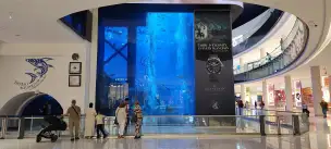 Dubai Aquarium & Underwater Zoo - dubaj-046.jpg
