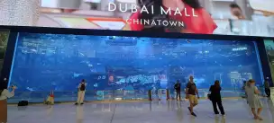 Dubai Aquarium & Underwater Zoo - dubaj-048.jpg