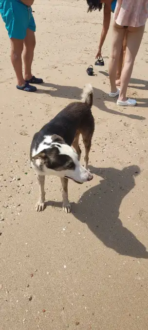 Plaża Haffah Qadema - musandam-019.jpg