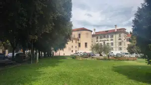 Widok na Katedrę