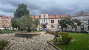 Pałac Vissich-Nardi