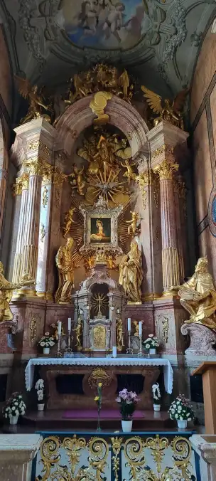 Katedra Wniebowzięcia NMP w Győr - Gyor-014.jpg