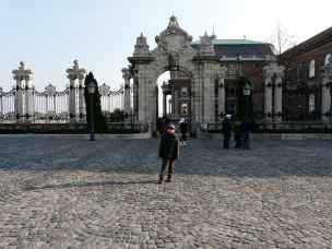Zamek Królewski w Budapeszcie - buda-045.jpg