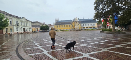 Ostrzyhom | Esztergom