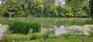Rzeka Tisza - tisza-004.jpg