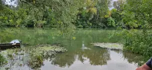 Rzeka Tisza - tisza-006.jpg