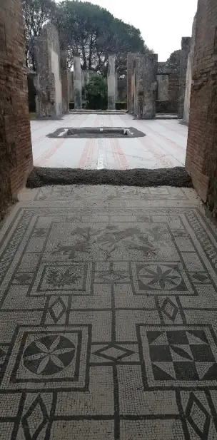 Casa del Cinghiale - Dom Dzika - pompeje-031.jpg