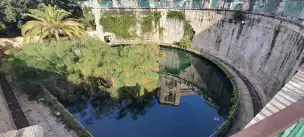 Fonte Aretusa – źródło, sadzawka i legenda Ortygii - syrakuzy-051.jpg