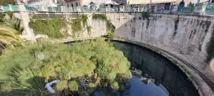 Fonte Aretusa – źródło, sadzawka i legenda Ortygii - syrakuzy-052.jpg